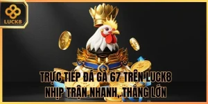 trực tiếp đá gà 67